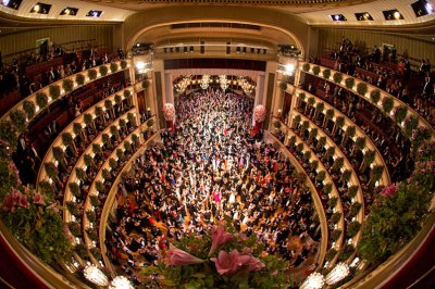 vyana opera teatrı 2