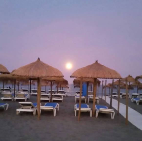 torremolinos cimerliyi