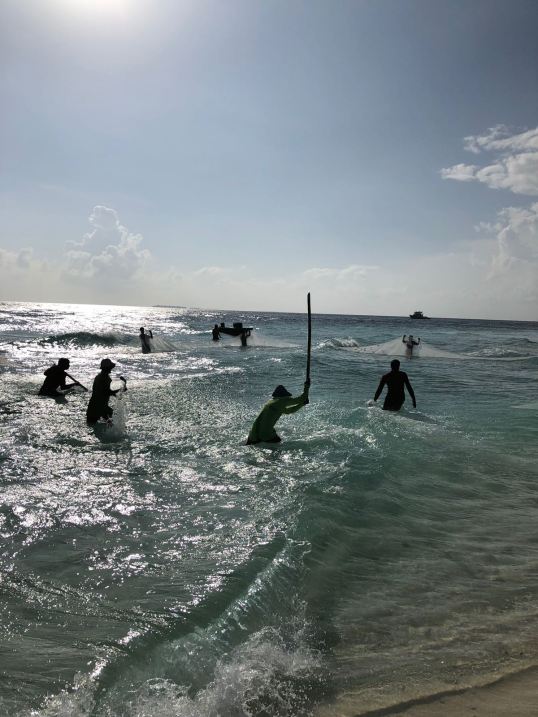 IMG-20180115-WA0007_1520801707980