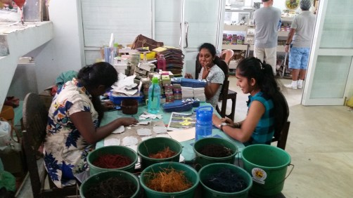 fil necisinden kagiz