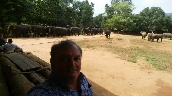 filler menim dostumdu 1