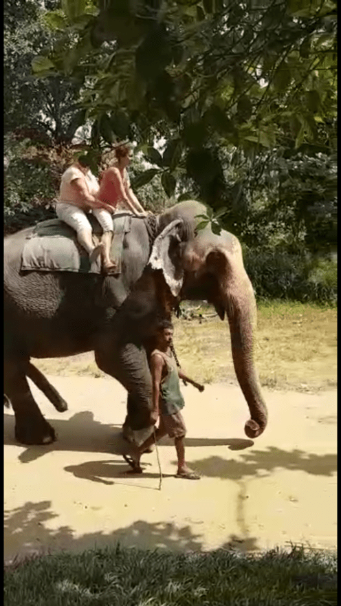 rus qadin fil uste 1