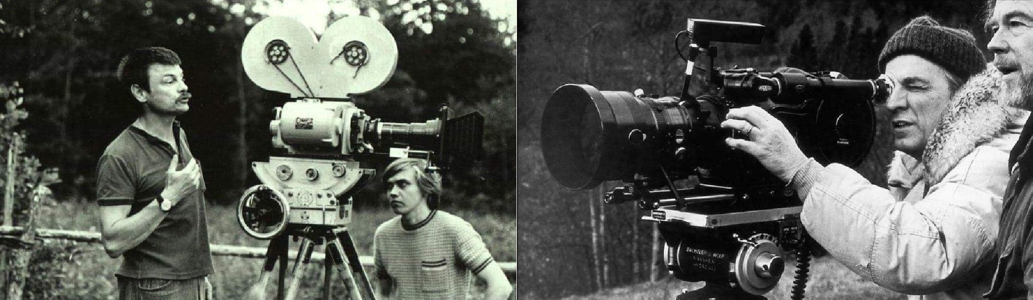 bergman tarkovsky