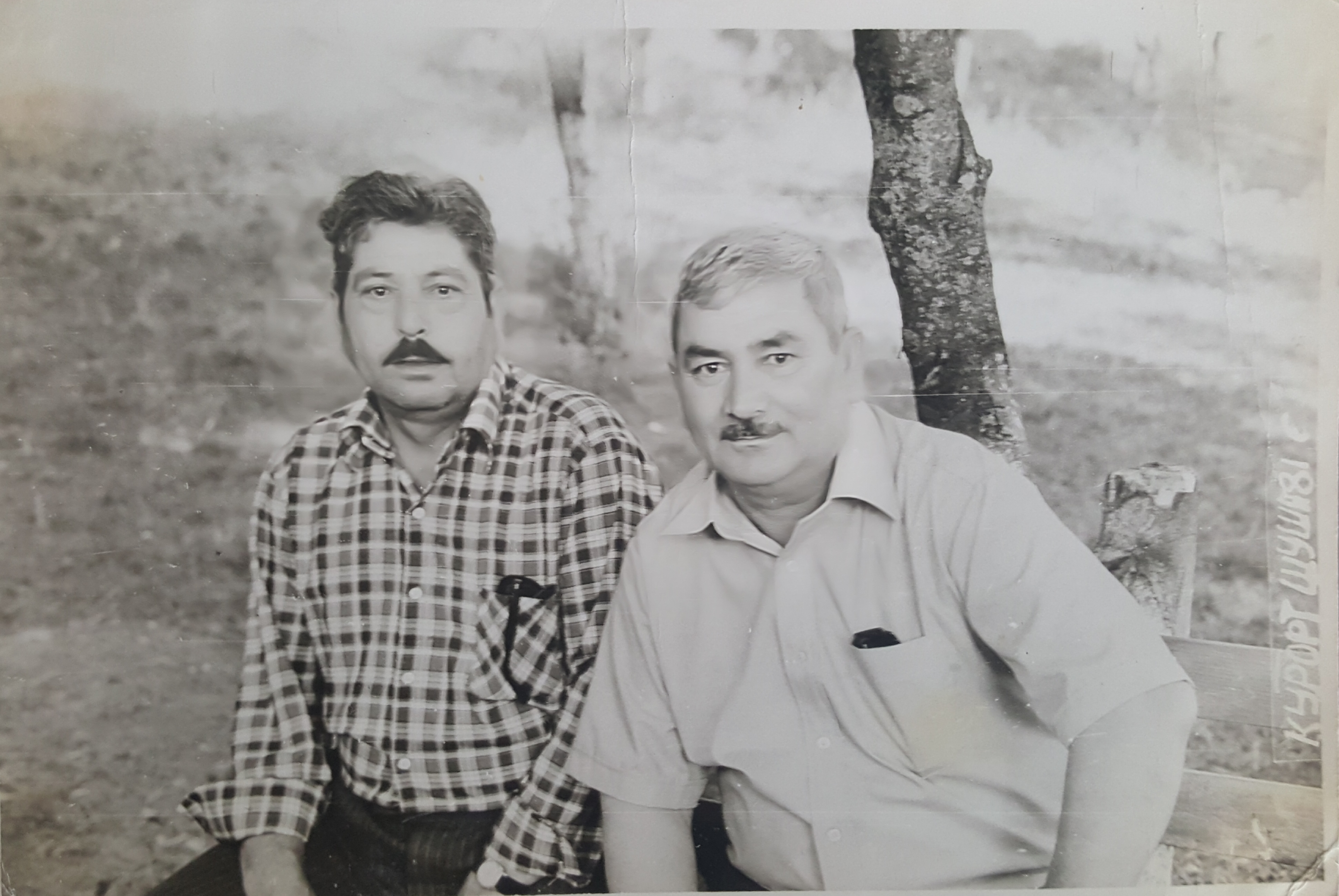 Sabir Əliyev Pərviz Qazıyev